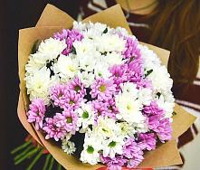 Букет цветов из:  Хризантемы #REPLACE_PRED# Кораблино