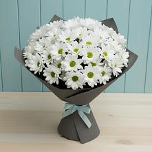 Букет цветов из:  Хризантемы #REPLACE_PRED# Кораблино