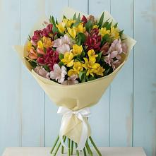 Букет цветов из:  Альстромерии #REPLACE_PRED# Кораблино